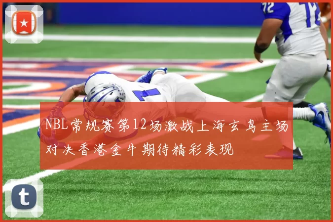 NBL常规赛第12场激战上海玄鸟主场对决香港金牛期待精彩表现