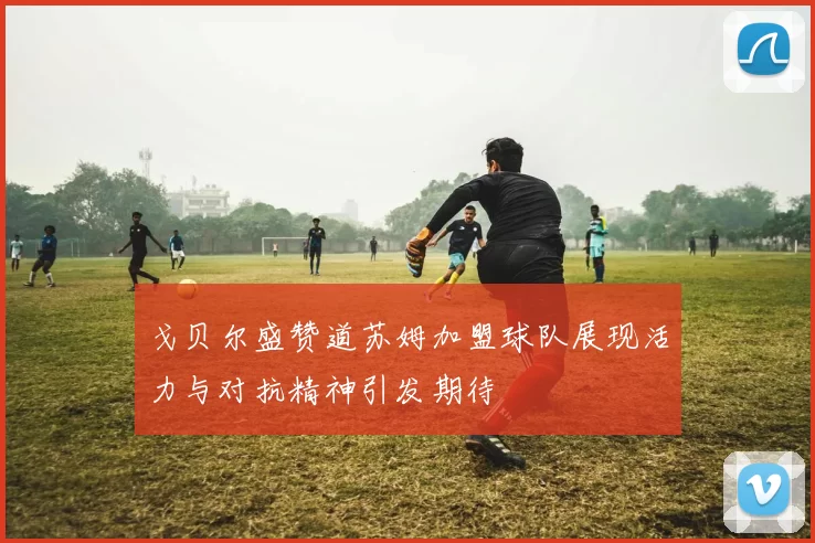 戈贝尔盛赞道苏姆加盟球队展现活力与对抗精神引发期待