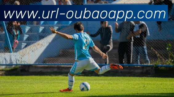全球热力图